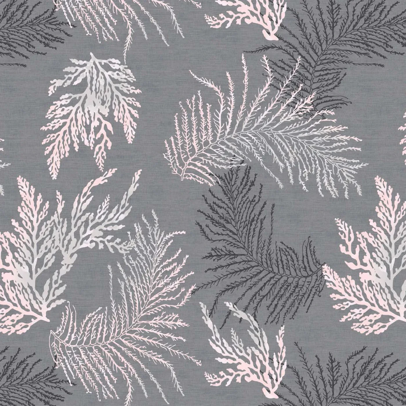 Oceana Grey 381019/2008
