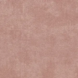 Terra NW 61