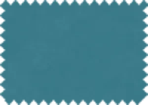 Aquaclean® Daytona HP 146
