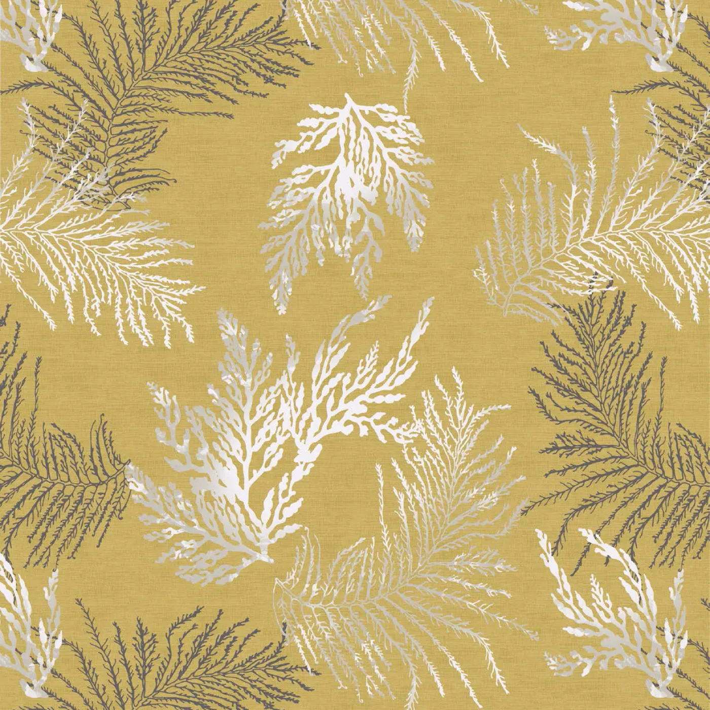 Oceana Mustard 381019/2006