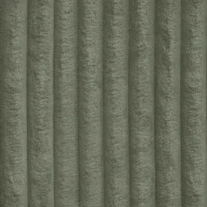 Tilia 037