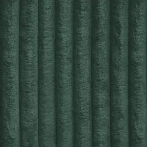 Tilia 039