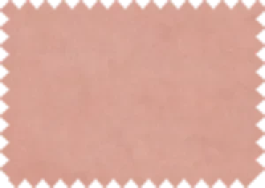 Aquaclean® Bellagio 503