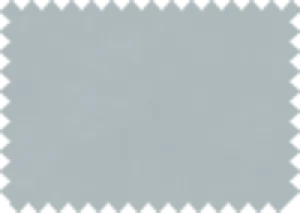 Aquaclean® Daytona HP 184