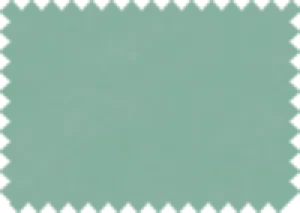 Aquaclean® Daytona HP 155