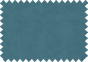 Aquaclean® Nordic 909