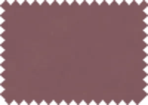 Aquaclean® Daytona HP 153