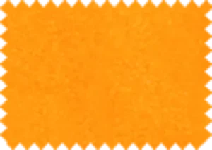 Aquaclean® Nordic 118