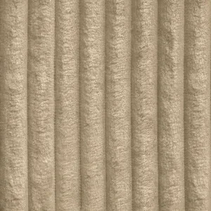 Tilia 011