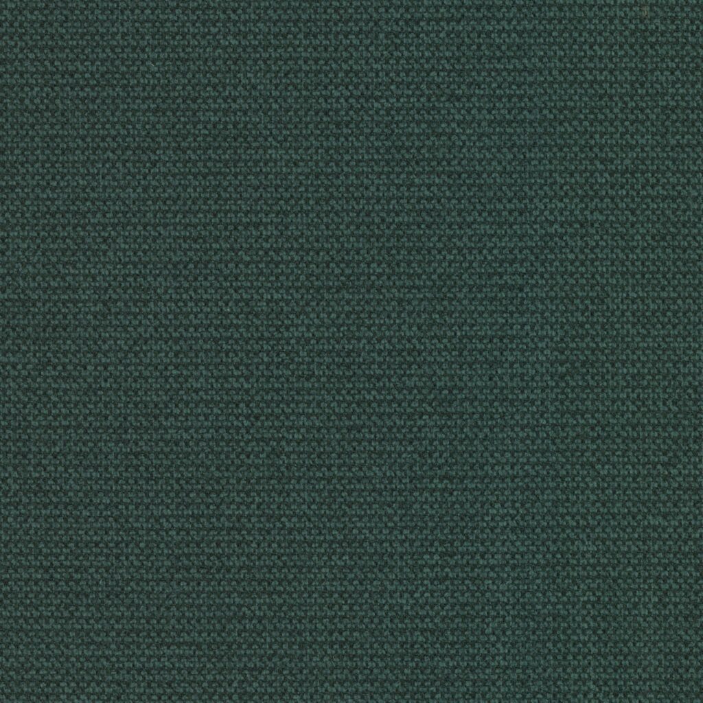 Point 39