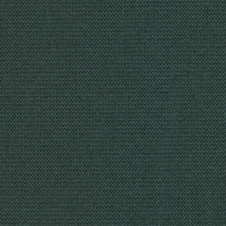 Point 39