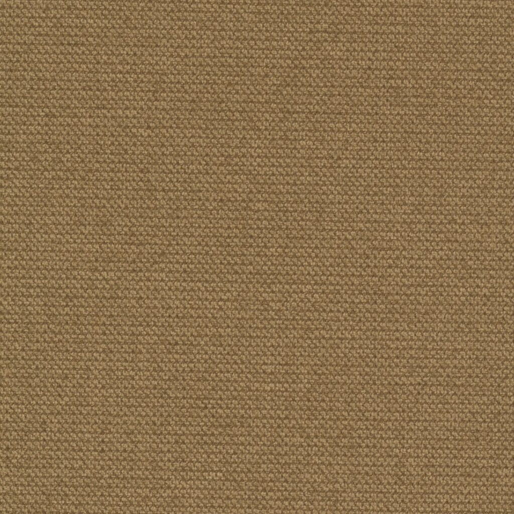 Point 49