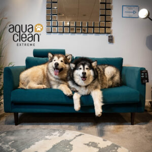 Aquaclean® Extreme
