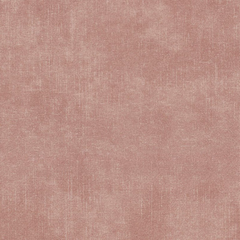Terra NW 61