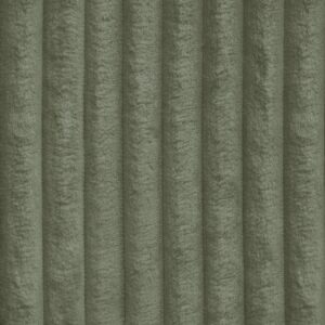 Tilia 037
