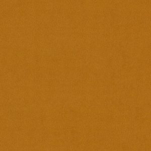 Riviera 041