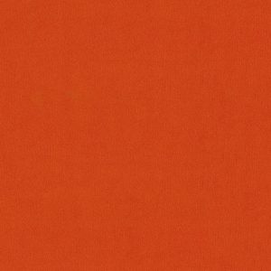 Riviera 051