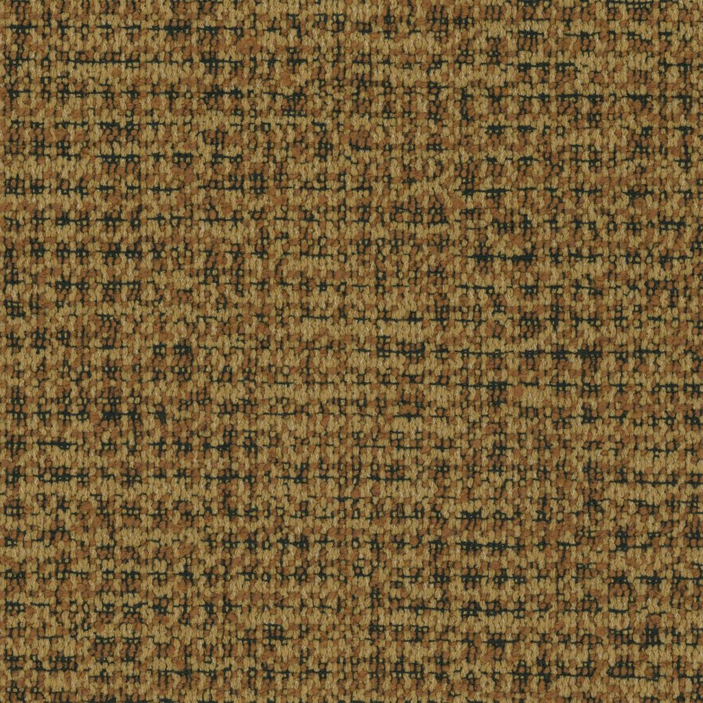 Coco 53B