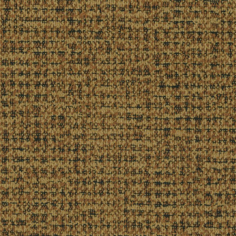 Coco 53B