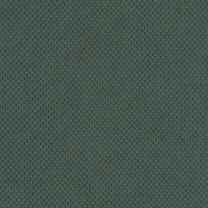 Curio 37