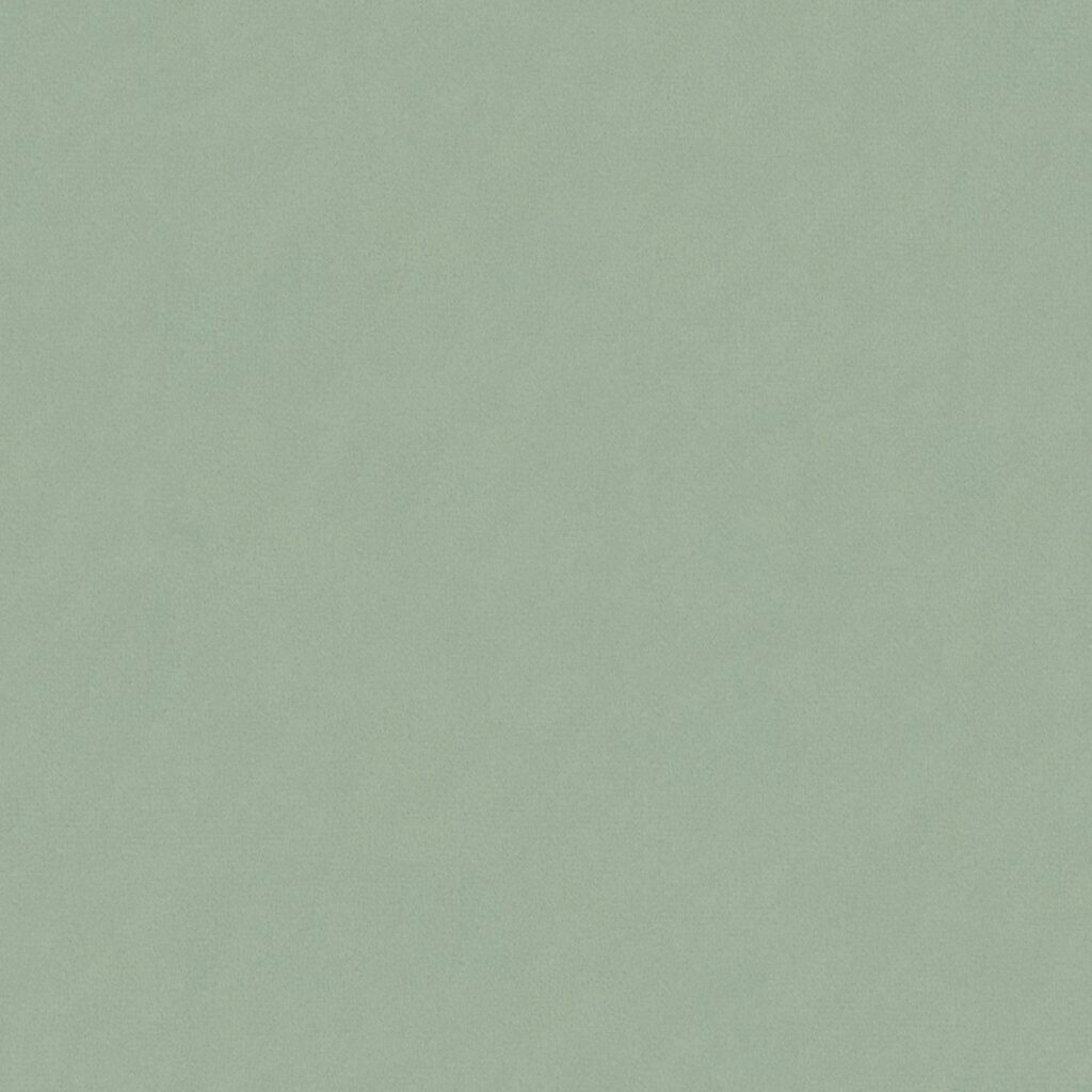Riviera 031
