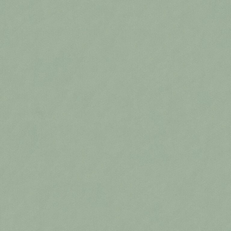 Riviera 031